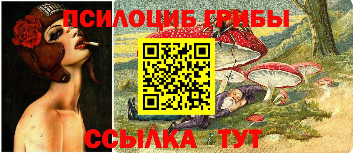 Псилоцибиновые грибы ЛСД Королёв